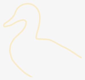 Duck, HD Png Download, Transparent PNG