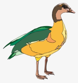 Yellow And Green Duck, HD Png Download, Transparent PNG
