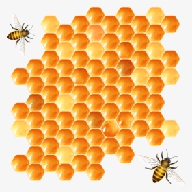 Honeycomb Png, Transparent Png, Transparent PNG