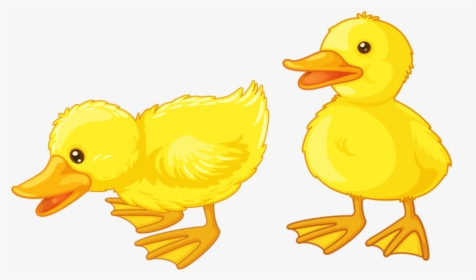 Clip Art Yellow Duck, HD Png Download, Transparent PNG