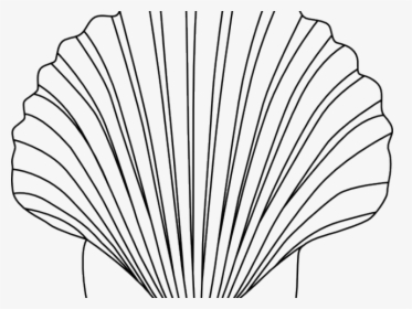 Shell Clipart Small Shell - Free Seashell Clipart Black And White, HD Png Download, Transparent PNG
