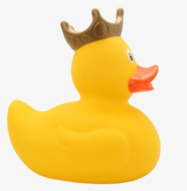 Duck, HD Png Download, Transparent PNG
