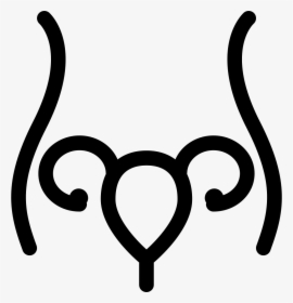 Uterus And Fallopian Tube Inside Woman Body Outline - Uterus Black And White, HD Png Download, Transparent PNG
