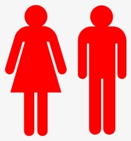 Infographic Male And Female, HD Png Download, Transparent PNG