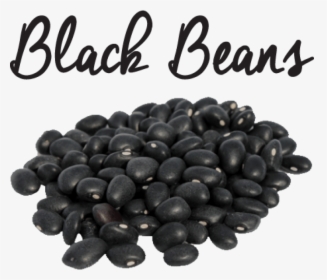 Png Black Beans - Black Beans In Urdu, Transparent Png, Transparent PNG
