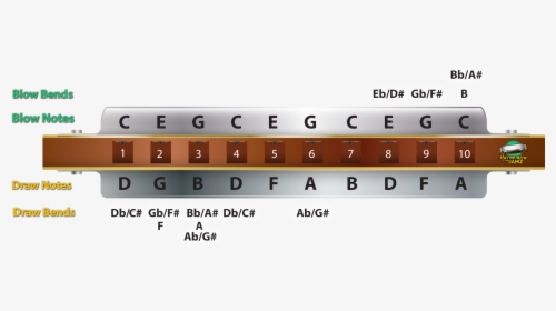 Notes On Ab Harmonica, HD Png Download, Transparent PNG