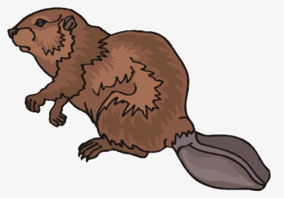 Top 80 Beaver Clip Art - Beaver Fur Trade Clipart, HD Png Download, Transparent PNG