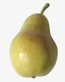 Pear Tree Png Translucent - Pear Transparent Png, Png Download, Transparent PNG