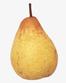 Peach In A Pear Tree Png - Pear High Resolution, Transparent Png, Transparent PNG