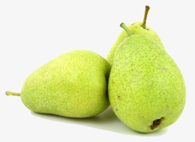 Pear Tree Png, Transparent Png, Transparent PNG