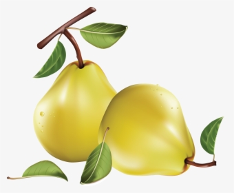 Pear Png Image - Pears Free Clip Art, Transparent Png, Transparent PNG
