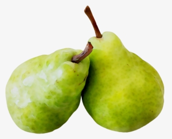 Pear Apple Fahrenheit - Pera En Png, Transparent Png, Transparent PNG
