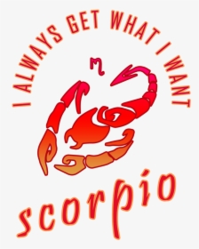 Scorpio Water Sign - Scorpio Image Zodiac Sign, HD Png Download, Transparent PNG