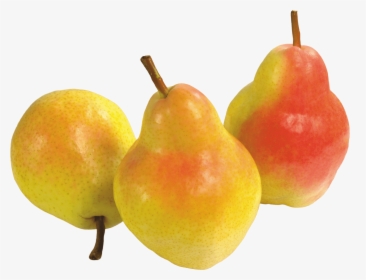 Pear Png Image - Груши Png, Transparent Png, Transparent PNG