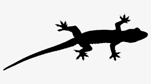 Gecko Lizard Fauna Font Silhouette - Gecko Silhouette, HD Png Download, Transparent PNG