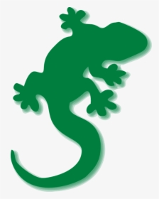 Lizard, Green, Gecko, Silhouette, Shadow - Gecko Clipart, HD Png Download, Transparent PNG