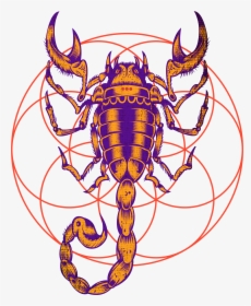 Scorpio Zodiac Sign Art, HD Png Download, Transparent PNG