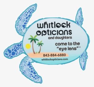 Whitlock Opticians - Green Sea Turtle, HD Png Download, Transparent PNG