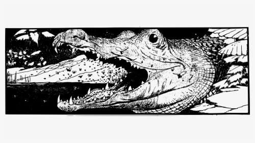 Reptile,art,monochrome Photography - Kepala Buaya Hitam Putih, HD Png Download, Transparent PNG