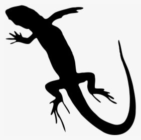 Lizard Reptile Clip Art - Lizard Png Black And White, Transparent Png, Transparent PNG