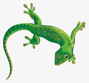 Collection Of Free Lizard Vector Reptile - Transparent Background Lizard Clipart, HD Png Download, Transparent PNG