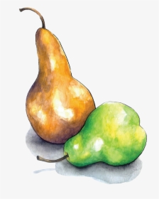 Pears - Still Life Photography, HD Png Download, Transparent PNG