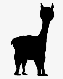 Sphynx Cat Clip Art Whiskers Silhouette Portable Network - Horse And Llama Clip Art, HD Png Download, Transparent PNG