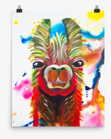 Llama • Art Print - Illustration, HD Png Download, Transparent PNG