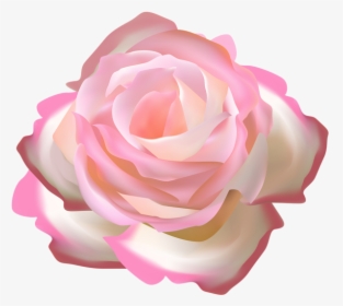 Transparent Rosebush Png - Rosas Color Rosa Png, Png Download, Transparent PNG