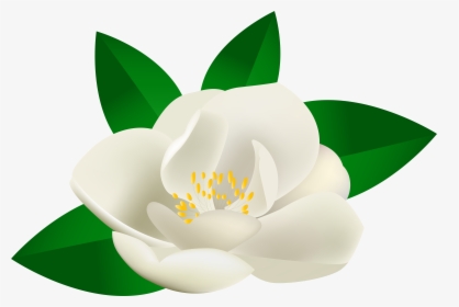 Transparent Lotus Flower Green, HD Png Download, Transparent PNG