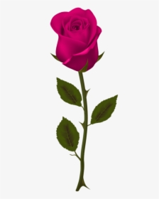 Free Png Download Pink Rose Png Images Background Png - Dark Red Rose Png, Transparent Png, Transparent PNG