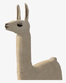 Morpheus Wikia - Llama, HD Png Download, Transparent PNG