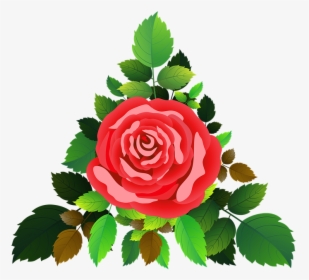 Roses, Flowers, Floral, Romantic, Rose Bush, Bouquet - Floribunda, HD Png Download, Transparent PNG