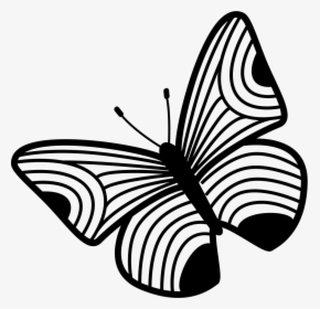 Butterfly Design Of Thin Stripes Wings - Portable Network Graphics, HD Png Download, Transparent PNG