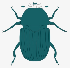 Legs Top, Green, View, Dark, Wings, Insect, Beetle, - Dung Beetle, HD Png Download, Transparent PNG