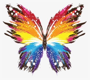 Butterfly Art Color, HD Png Download, Transparent PNG