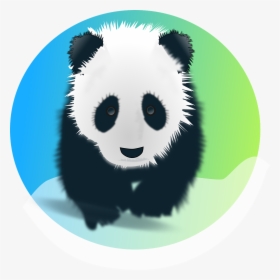Panda, Bear, Giant, Pandas, Endangered, Mammal, Animal - Panda's Png, Transparent Png, Transparent PNG