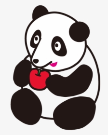 Cute Baby Panda - Cartoon, HD Png Download, Transparent PNG