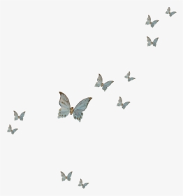Butterfly Fly Png Download - Clip Art Purple Butterfly, Transparent Png, Transparent PNG