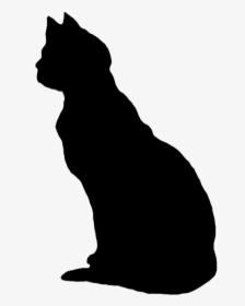 Cat Sitting Silhouette - Clipart Black Cat No Background, HD Png Download, Transparent PNG
