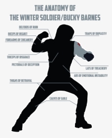 Winter Soldier Anatomy, HD Png Download, Transparent PNG