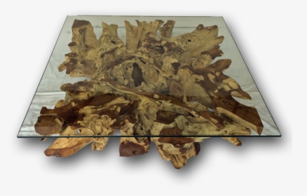 Teak Root Coffee Table, HD Png Download, Transparent PNG