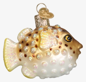 Pufferfish Side - Blowfish - Tortoise, HD Png Download, Transparent PNG