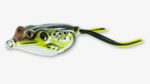 Green Pufferfish , Png Download - Green Topwater Frog Transparent, Png Download, Transparent PNG