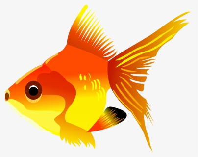 Swimmer Clipart Fish - Golden Fish Clipart, HD Png Download, Transparent PNG