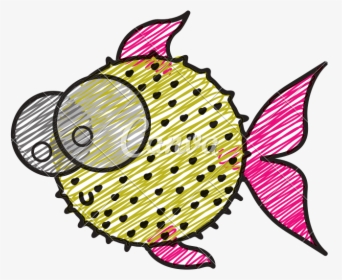 With Big Eyes Icons - Blowfish Drawing, HD Png Download, Transparent PNG