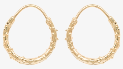 14kt Gold Diamond Cut Hoop Earrings, HD Png Download, Transparent PNG