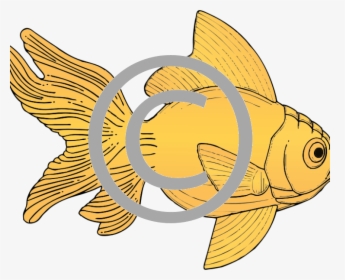 Gold Fish Clip Art, HD Png Download, Transparent PNG