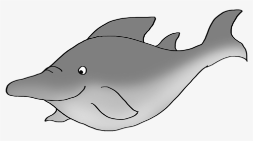 Shark Like Fish Drawing - Cat Fish, HD Png Download, Transparent PNG