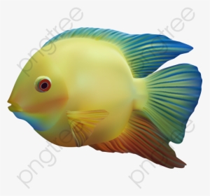 Fish Clipart The Underwater - Clipart Transparent Background Fish Png, Png Download, Transparent PNG